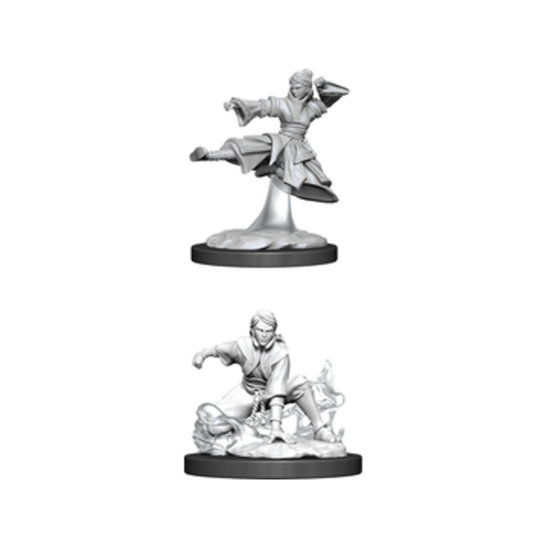Wizkids - Dungeons and Dragons - Nolzurs Marvellous Miniatures - Female Human Monk - 90008