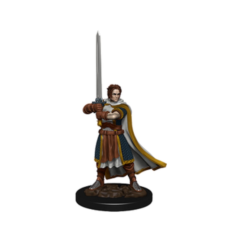 Wizards of the Coast - Dungeons and Dragons - Icons of the Realms - Human Cleric Male - Premium Figure - 93023