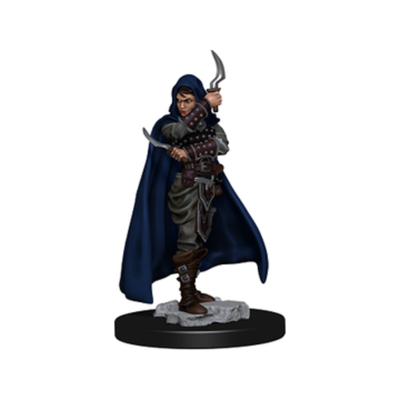 Wizkids - Pathfinder - Premium Miniatures - Human Female Rogue - 77501