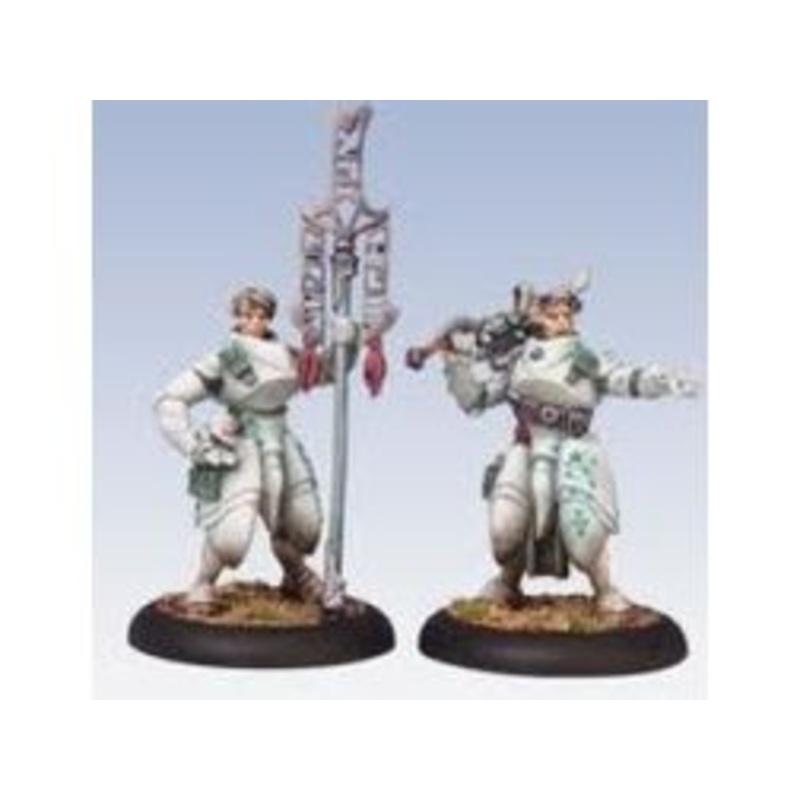 Privateer Press - Warmachine - Retribution of Scyrah - Dawnguard Invictor Officer and Standard Bearer - PIP 35027