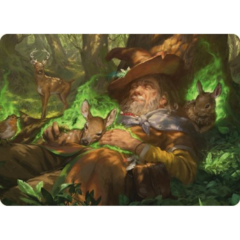Asceticism Art Card [The Lord of the Rings: Tales of Middle-earth Art Series]