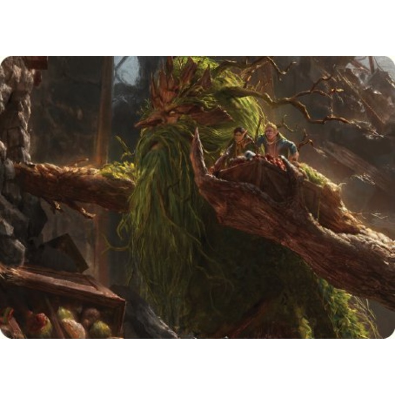 Treebeard, Gracious Host Art Card [The Lord of the Rings: Tales of Middle-earth Art Series]