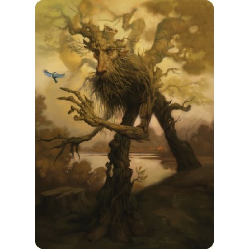 Treefolk Token Art Card [The Lord of the Rings: Tales of Middle-earth Art Series]
