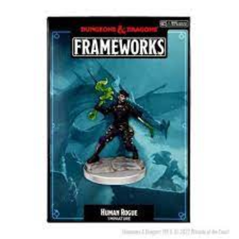 Human Rogue Female: D&D Frameworks