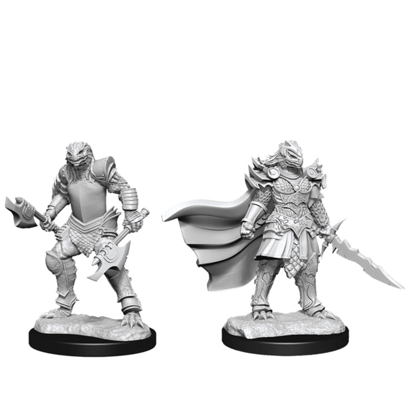 Nolzer's Marvelous Miniatures: Female Dragonborn Fighter