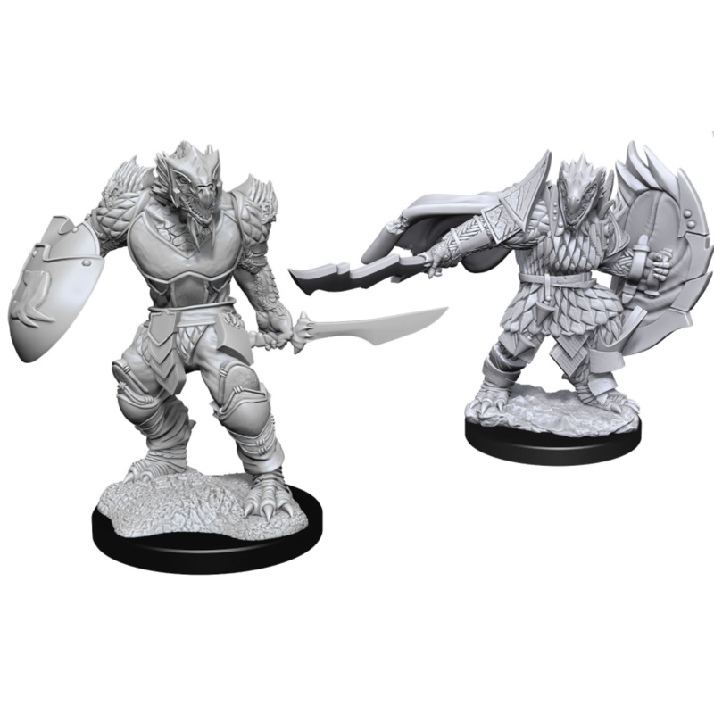 Nolzer's Marvelous Miniatures: Male Dragonborn Fighter
