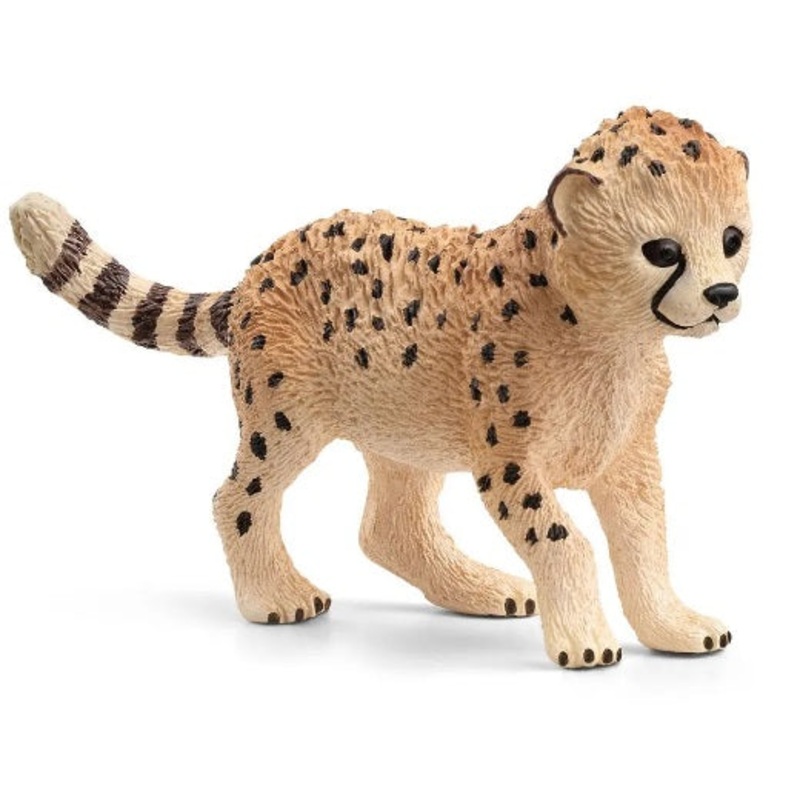 Cheetah Cub