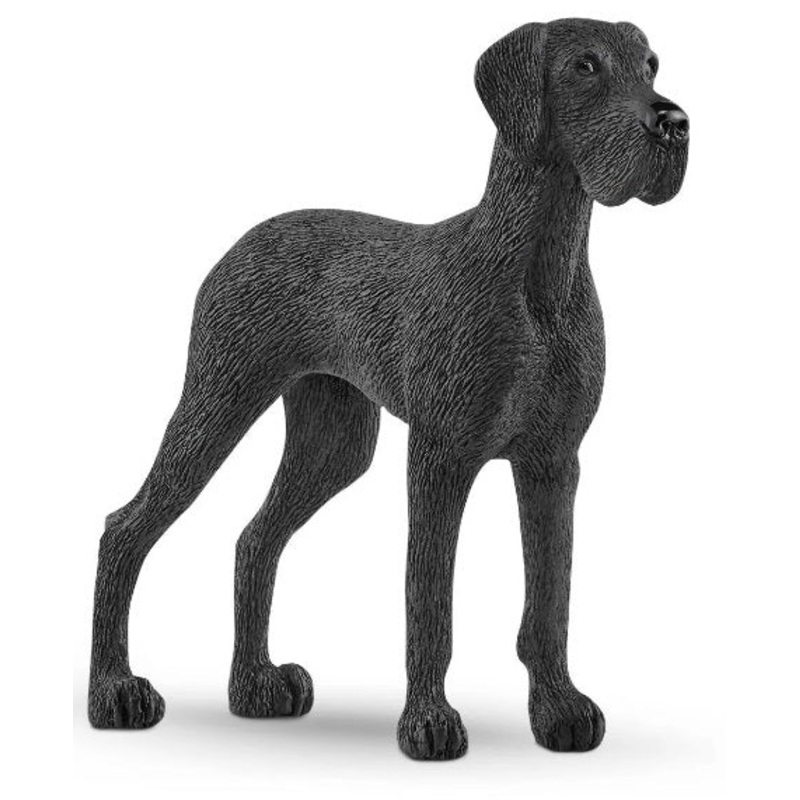 Great Dane