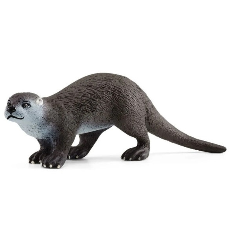 Otter