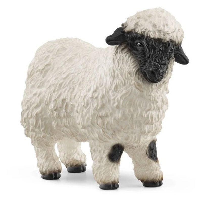 Valais Black-Nosed Sheep