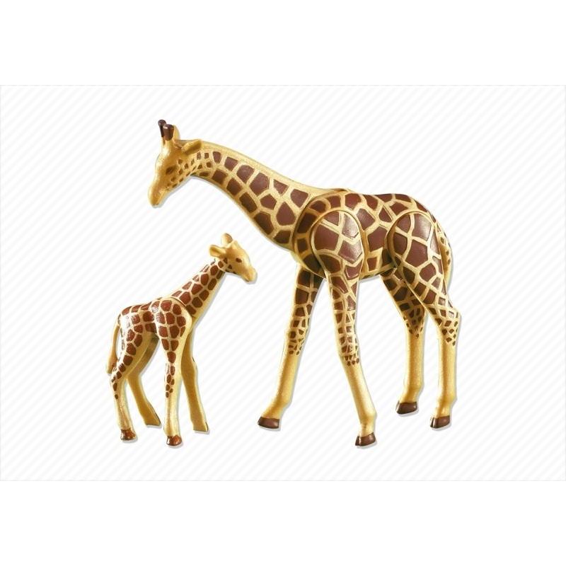 Giraffe with Baby