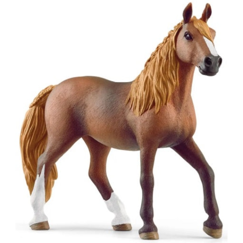 Peruvian Paso Mare Horse