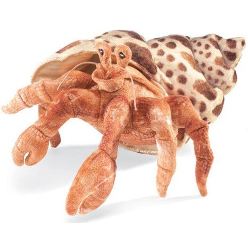 Hermit Crab