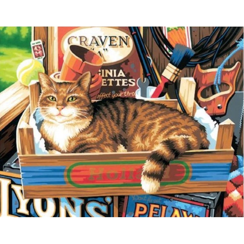 Paint By Number Cat Signs 14x11 inch