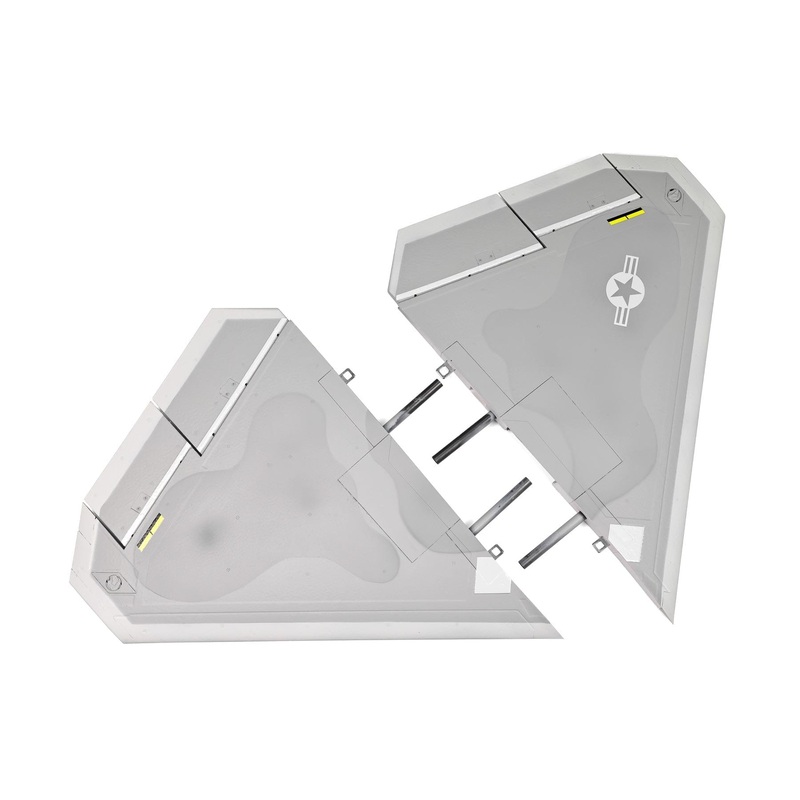 Freewing 80mm F-22 Raptor Main Wing