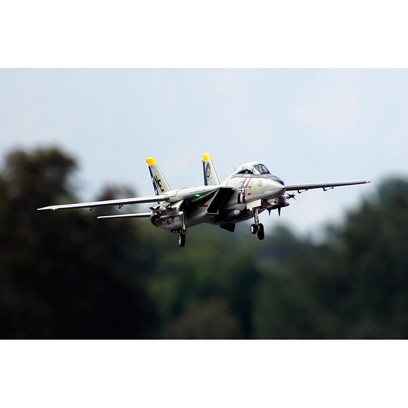 Freewing F-14 Tomcat Twin 80mm EDF Jet - ARF PLUS