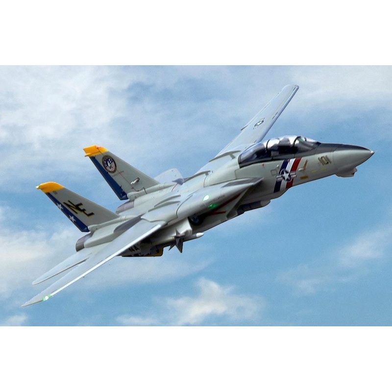 Freewing F-14 Tomcat Twin 80mm EDF Jet - PNP
