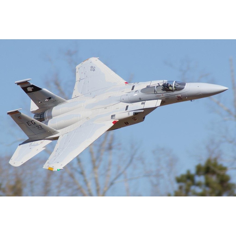 Freewing F-15C Eagle Super Scale 90mm EDF Jet - ARF PLUS
