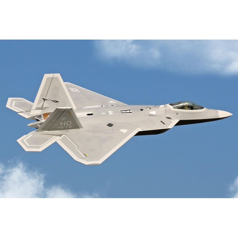 Freewing F-22 Raptor 80mm EDF Jet - ARF PLUS
