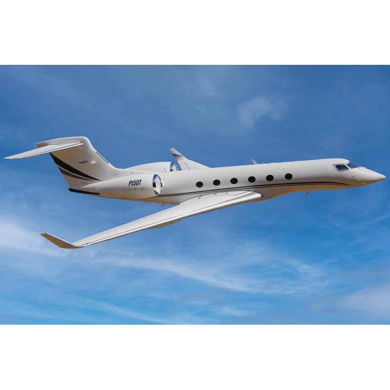 Freewing PJ50 Private Jet Twin 70mm EDF Jet - PNP