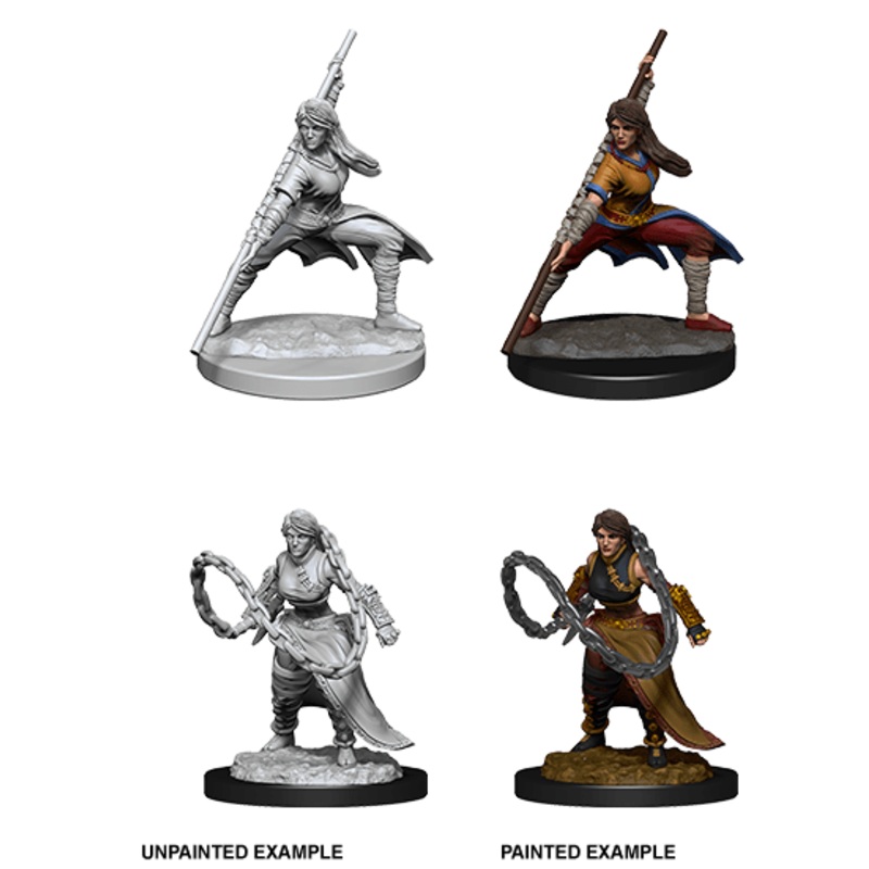 D&D Nolzur's Marvelous Miniatures: Female Human Monk