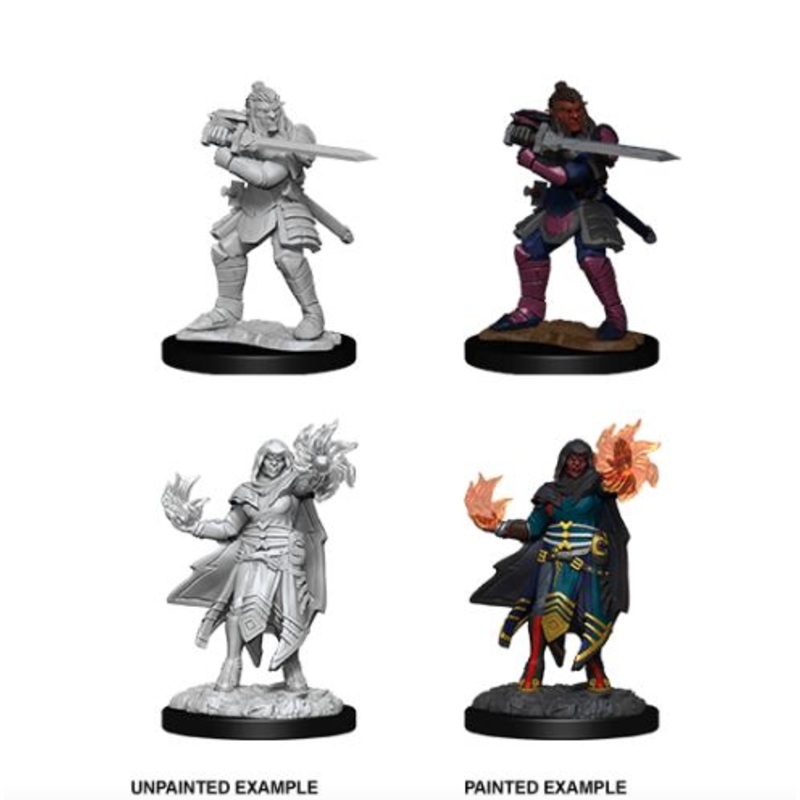 D&D Nolzur's Marvelous Miniatures: Hobgoblin Fighter Male & Hobgoblin Wizard Female