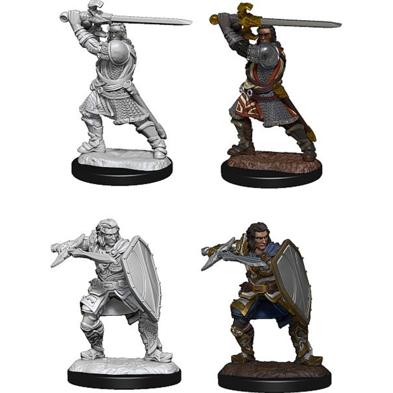 D&D Nolzur's Marvelous Miniatures: Male Human Paladin