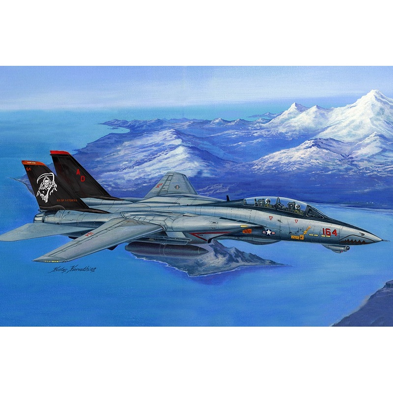 Hobby Boss - 1/48 F-14D Super Tomcat (80368)