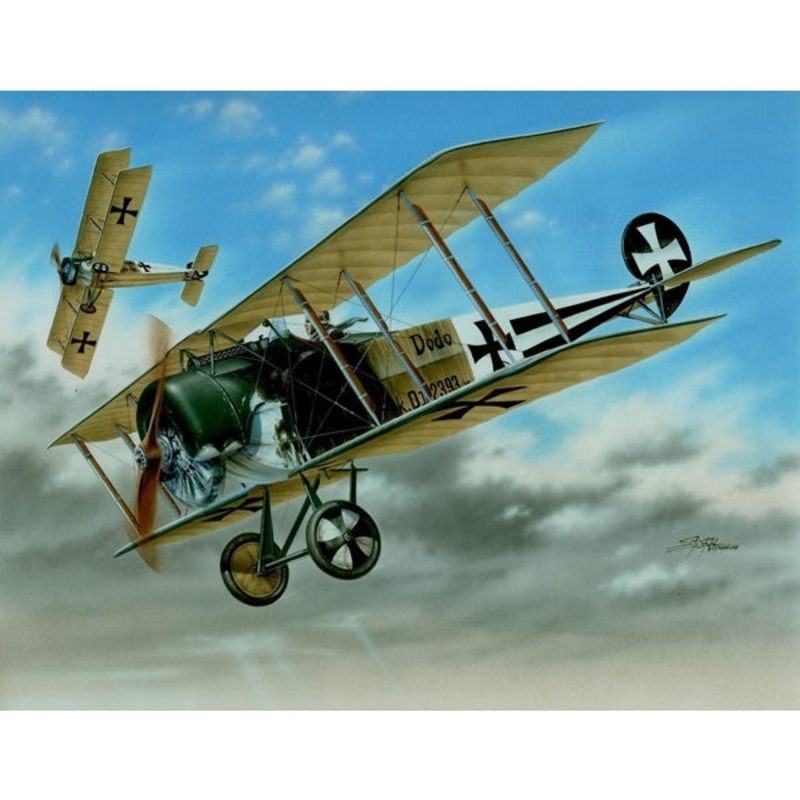Special Hobby - 1/48 Fokker D.II "Black and white Tails"
