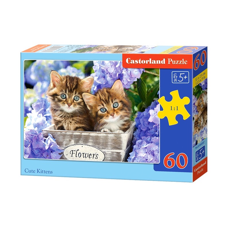 Castorland - Cute Kitten (60pcs)