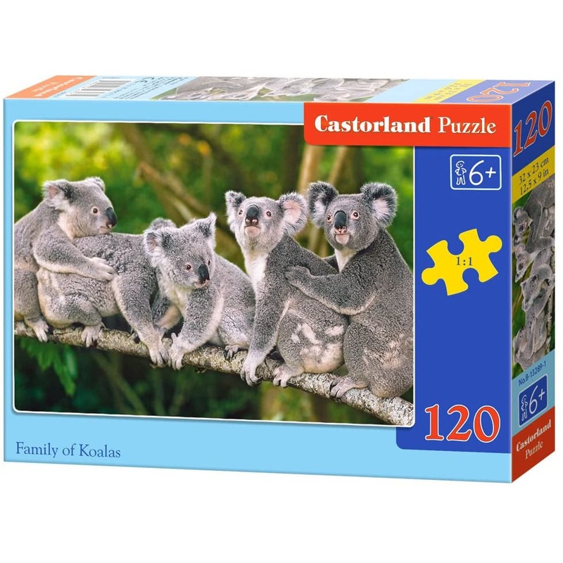 Castorland - Family of Koalas (120pcs)