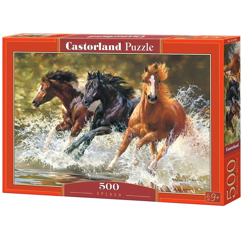 Castorland - Splash (500pcs)