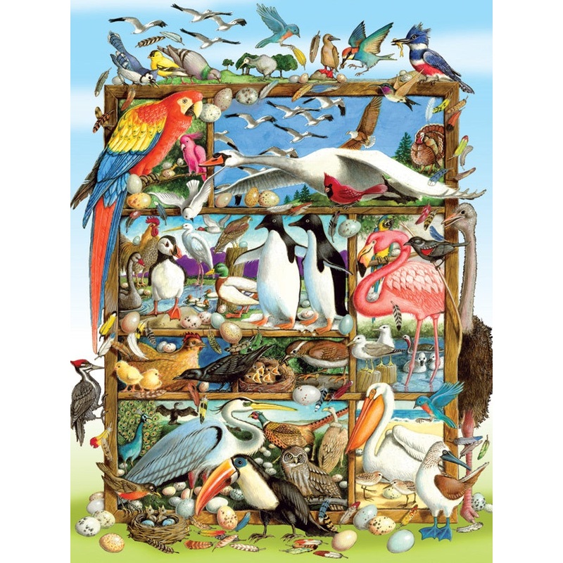 Cobble Hill - Birds of the World (350pcs Family)