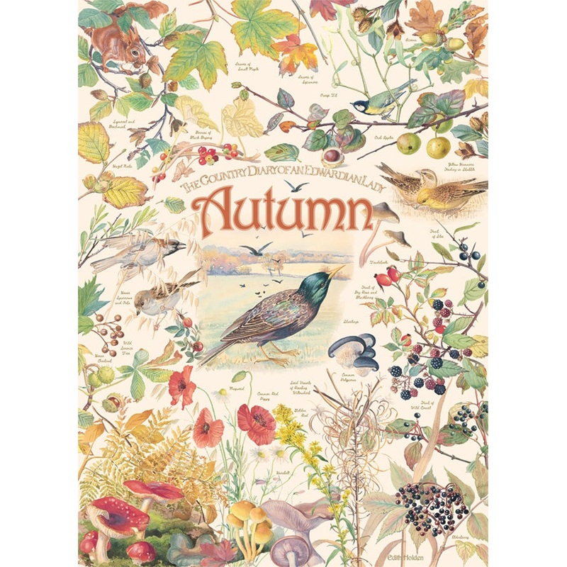 Cobble Hill - Country Diary: Autumn (1000pcs)